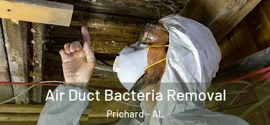 Air Duct Bacteria Removal Prichard - AL