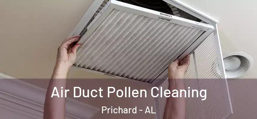 Air Duct Pollen Cleaning Prichard - AL