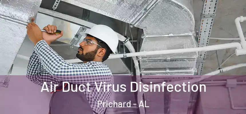  Air Duct Virus Disinfection Prichard - AL
