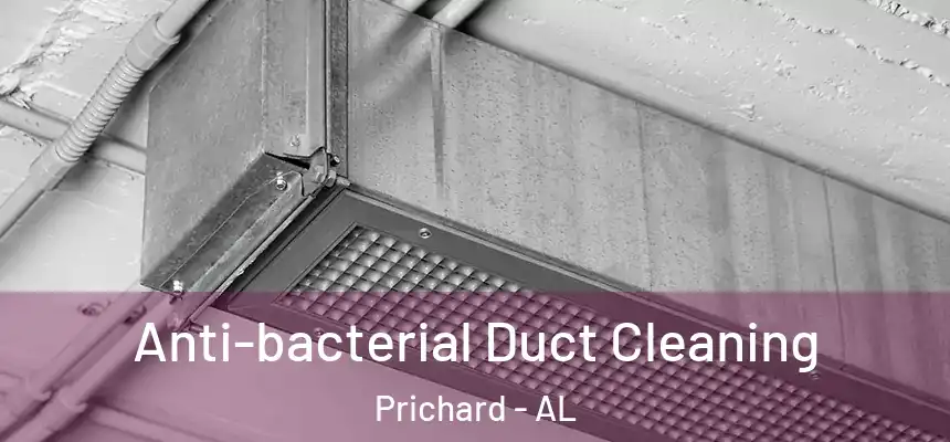 Anti-bacterial Duct Cleaning Prichard - AL