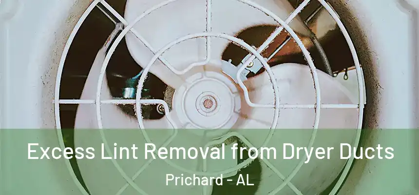  Excess Lint Removal from Dryer Ducts Prichard - AL