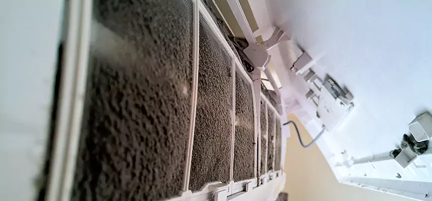 Preventive Air Duct Bacteria Removal in Prichard