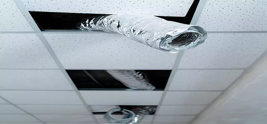 Our Air Duct Pet Hair Removal Services in Prichard, AL