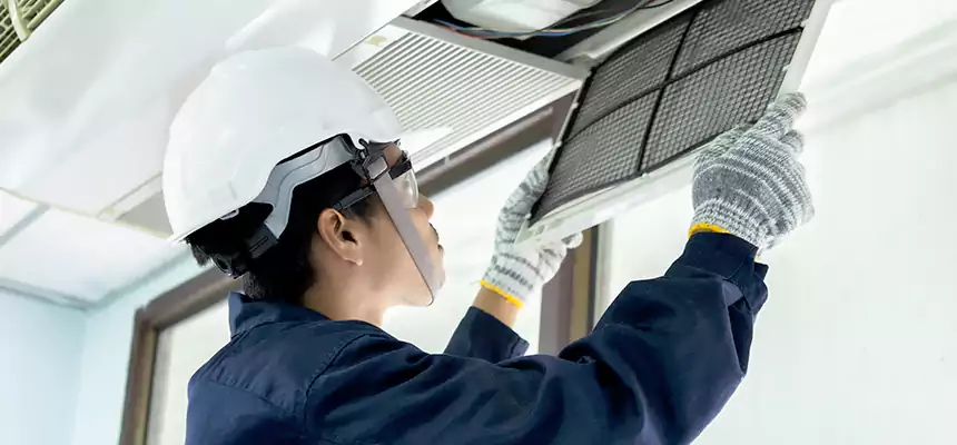 Our Mold & Mildew Removal from Air Ducts Services in Prichard, AL