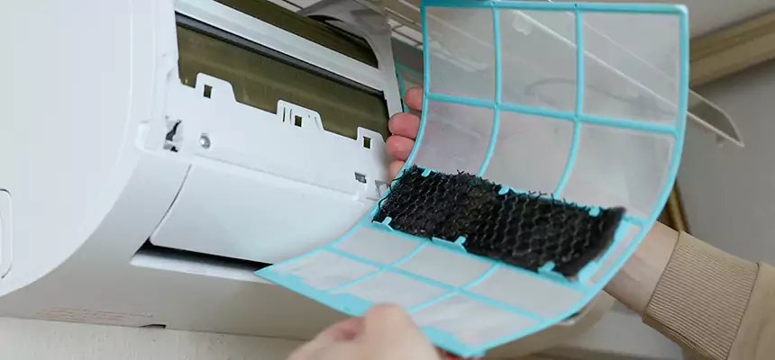 Gentle Ductwork Odor-Control Pet Dander Duct Cleaning in Prichard, AL