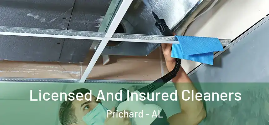 Licensed And Insured Cleaners Prichard - AL