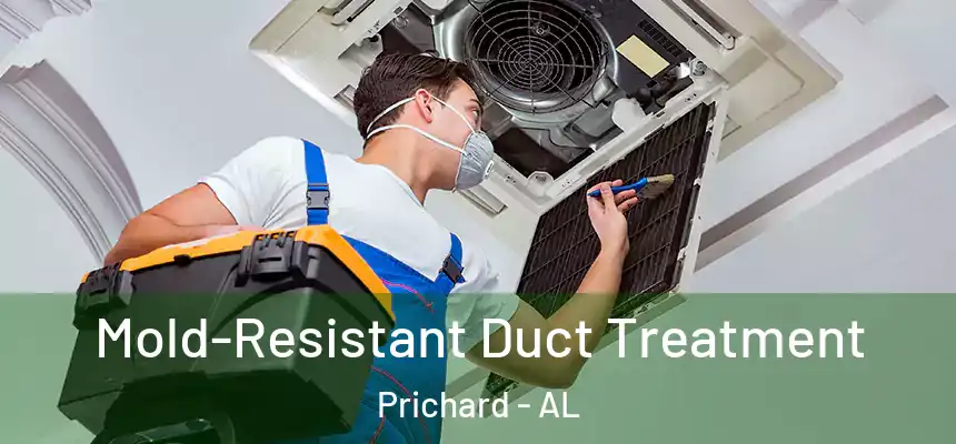  Mold-Resistant Duct Treatment Prichard - AL