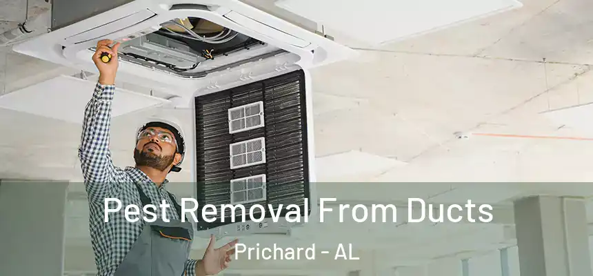 Pest Removal From Ducts Prichard - AL