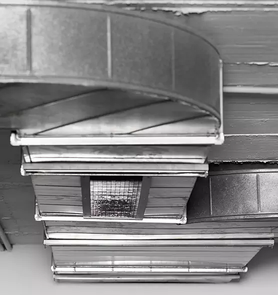 Professional Air Duct Pet Hair Removal in Prichard, AL