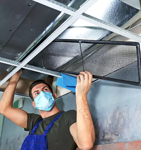 Professional Air Duct Pollen Cleaning in Prichard, AL